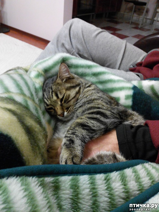 ���� 5: ����� ������.