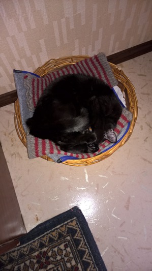 ����: ����� �� ����� ����� -30*