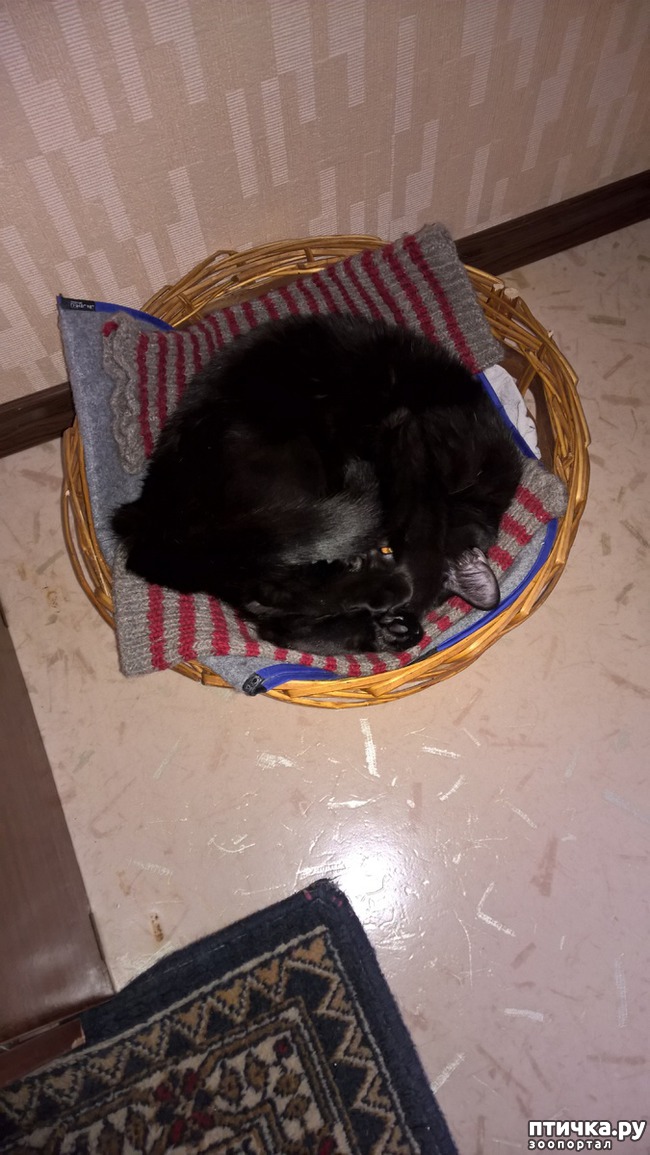 ���� 1: ����� �� ����� ����� -30*