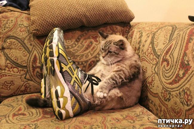 ���� 4: ������ ���������� ����