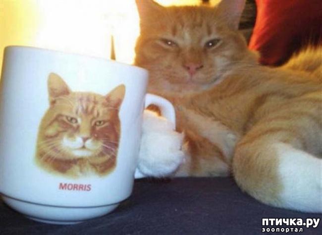 ���� 5: ������ ���������� ����