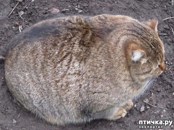 ���� 9: ������ ���������� ����