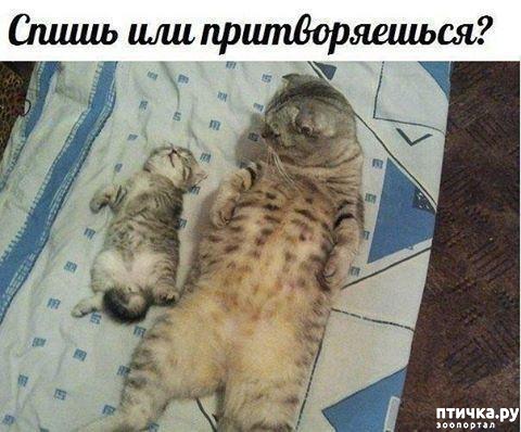 ���� 10: ������ ���������� ����