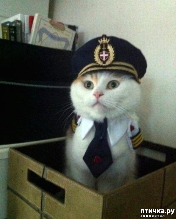 ���� 11: ������ ���������� ����