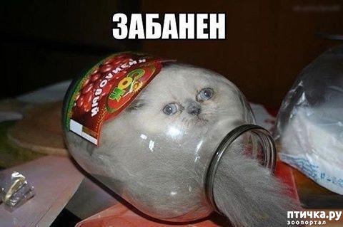 ���� 12: ������ ���������� ����