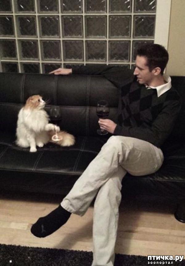 ���� 14: ������ ���������� ����