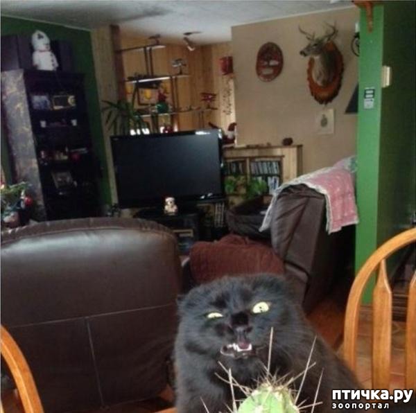 ���� 15: ������ ���������� ����