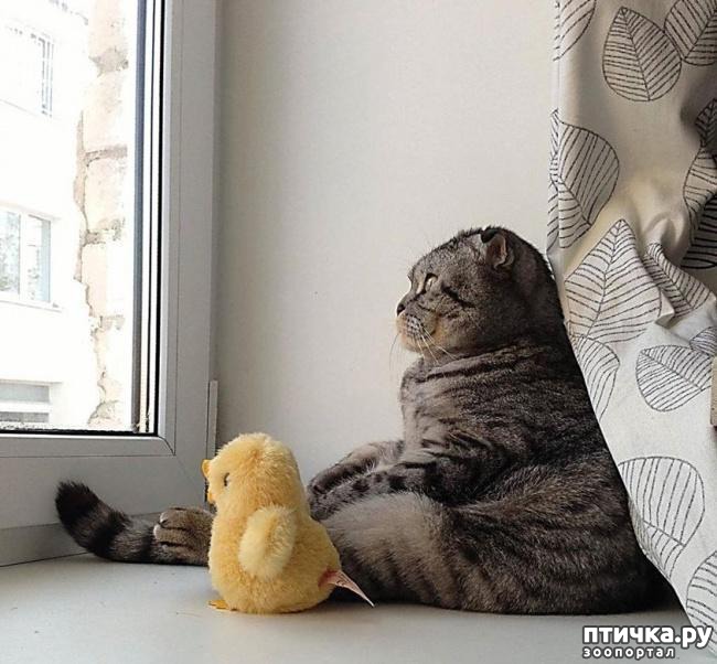 ���� 16: ������ ���������� ����