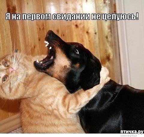 ���� 17: ������ ���������� ����