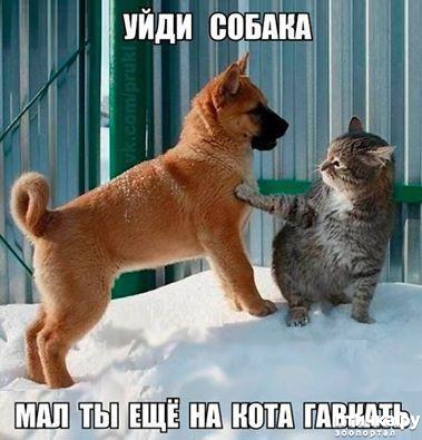 ���� 19: ������ ���������� ����