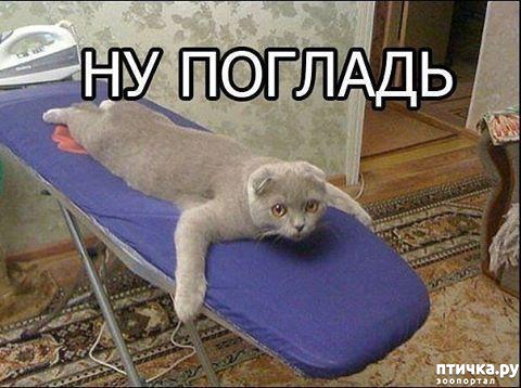 ���� 20: ������ ���������� ����