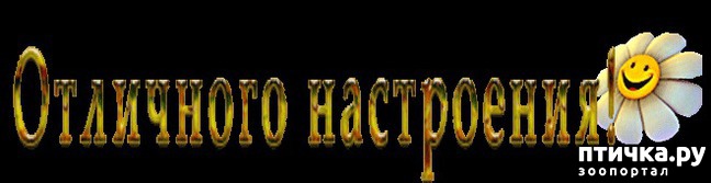 ���� 23: ������ ���������� ����