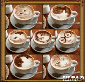 ����: ������� ����� �� �������� ����� (���� �����-���)