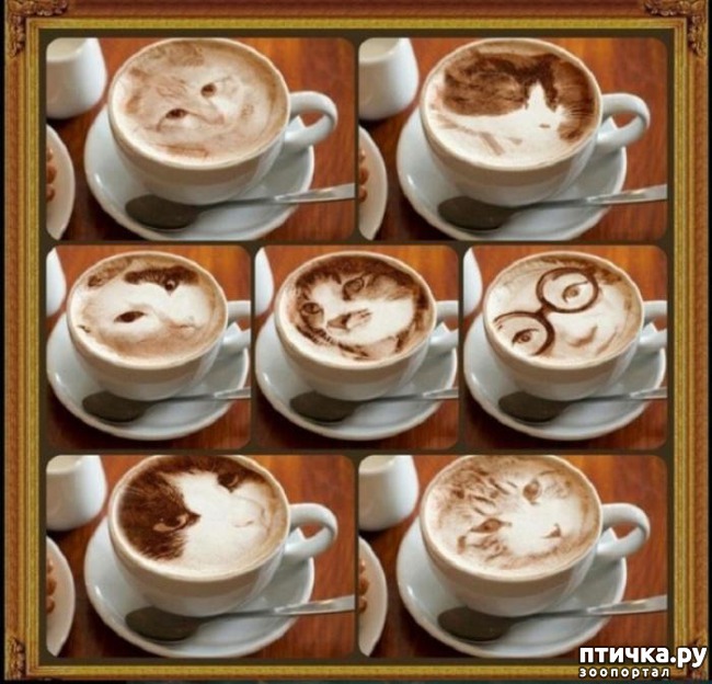 ���� 1: ������� ����� �� �������� ����� (���� �����-���)