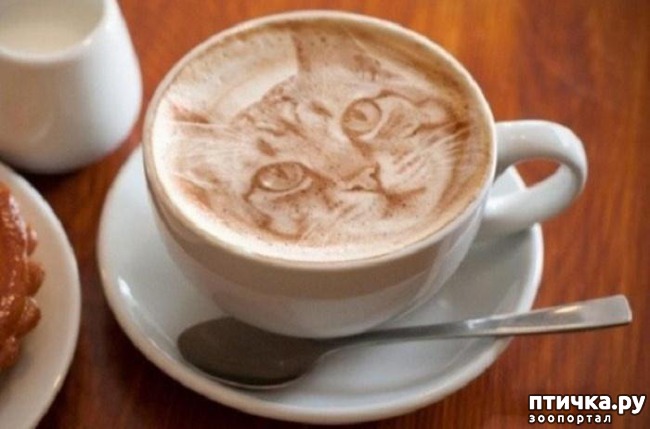 ���� 3: ������� ����� �� �������� ����� (���� �����-���)