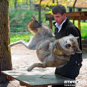 ����: ������ � �� ����)))