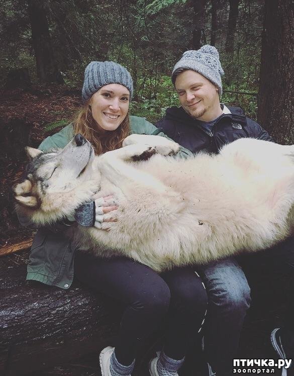 ���� 2: ������ � �� ����)))