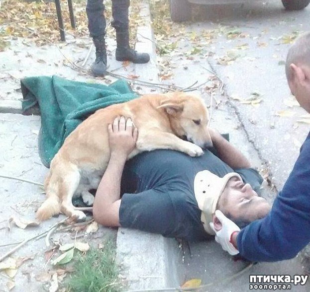 ���� 4: ������ � �� ����)))