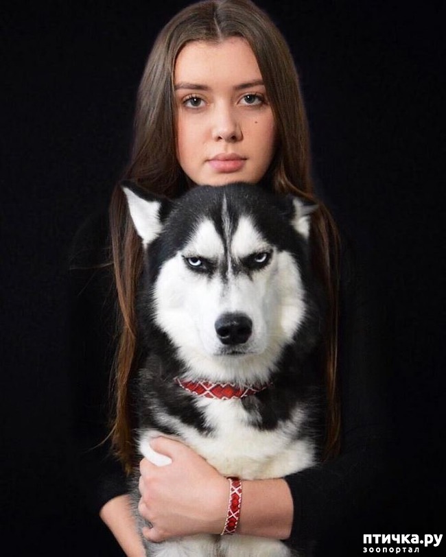 ���� 5: ������ � �� ����)))