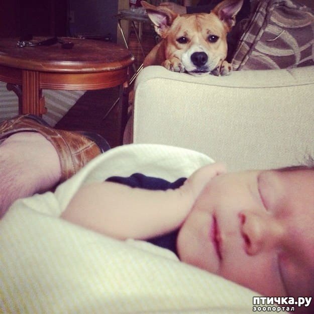 ���� 6: ������ � �� ����)))