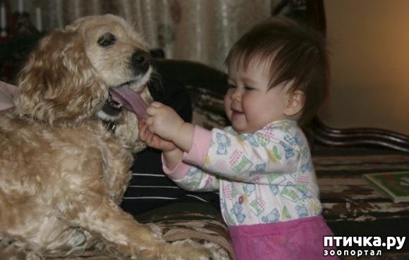 ���� 7: ������ � �� ����)))