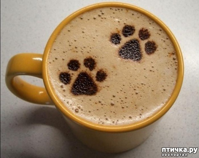 ���� 8: ������� ����� �� �������� ����� (���� �����-���)