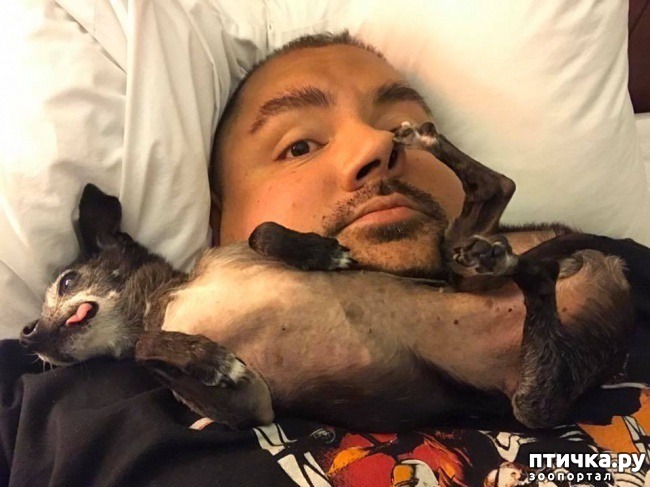 ���� 10: ������ � �� ����)))