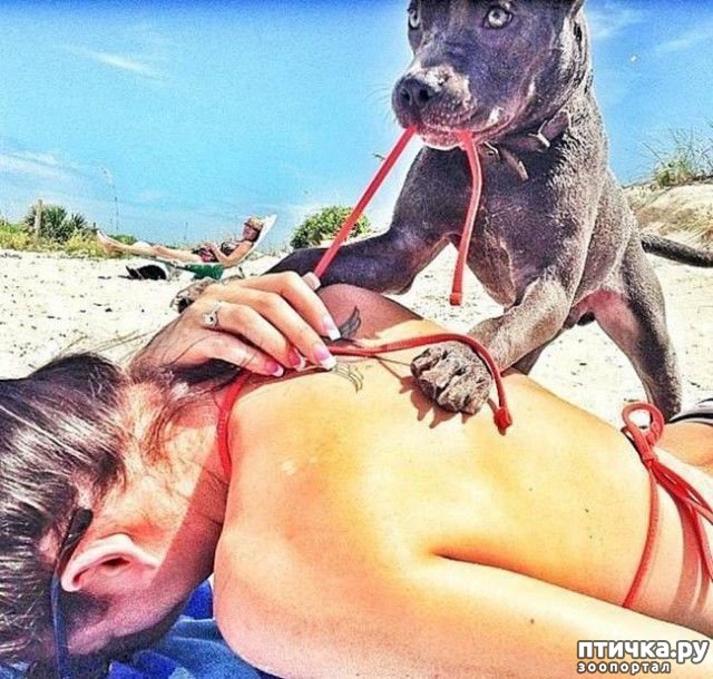 ���� 11: ������ � �� ����)))