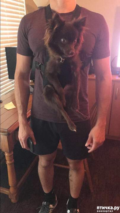 ���� 12: ������ � �� ����)))