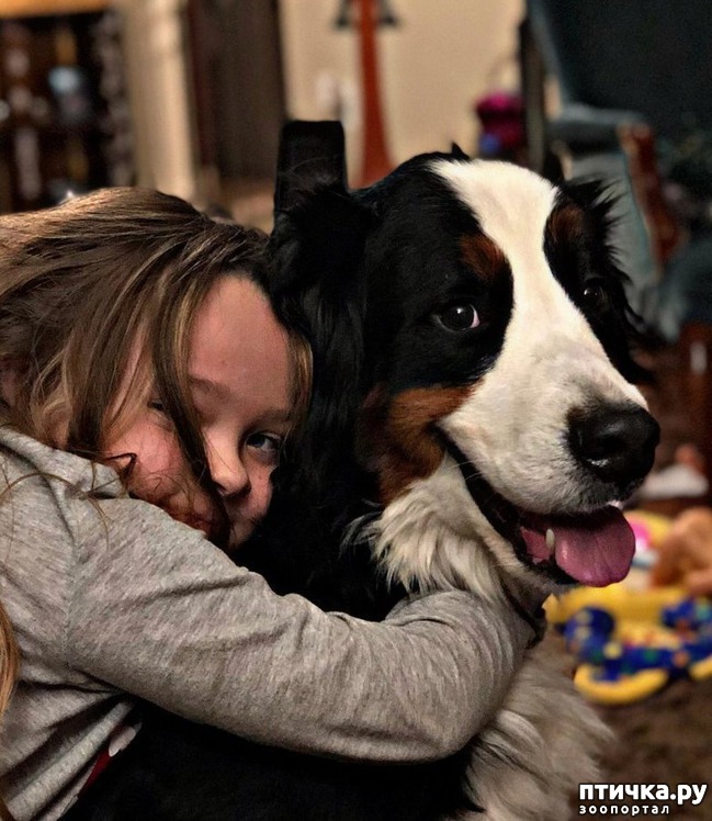 ���� 13: ������ � �� ����)))