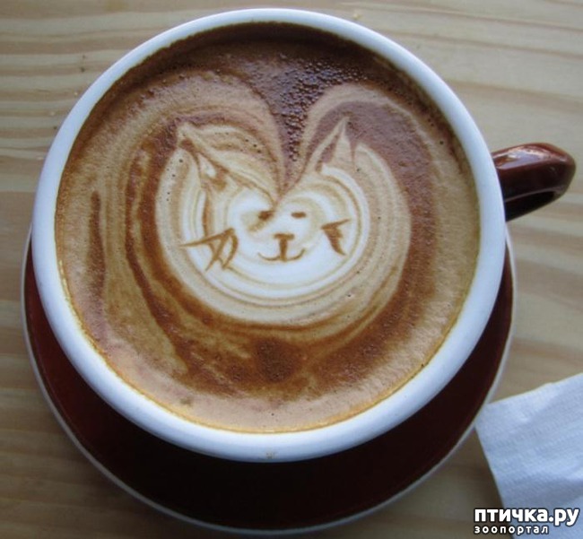 ���� 10: ������� ����� �� �������� ����� (���� �����-���)