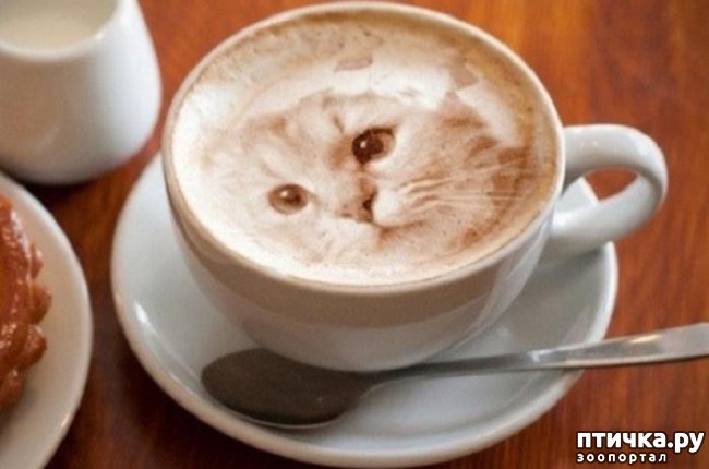 ���� 11: ������� ����� �� �������� ����� (���� �����-���)