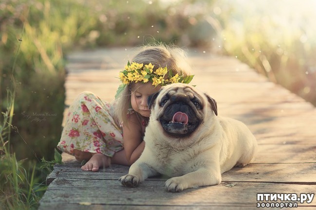 ���� 14: ������ � �� ����)))