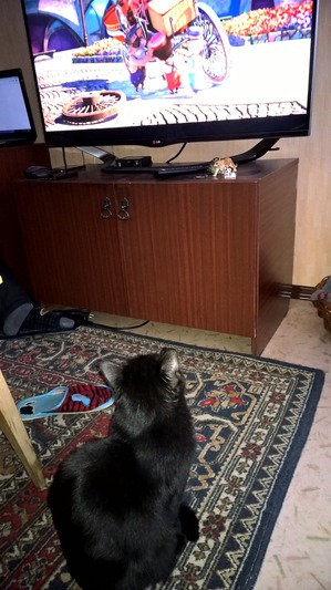 ����: ������� "������ �����"