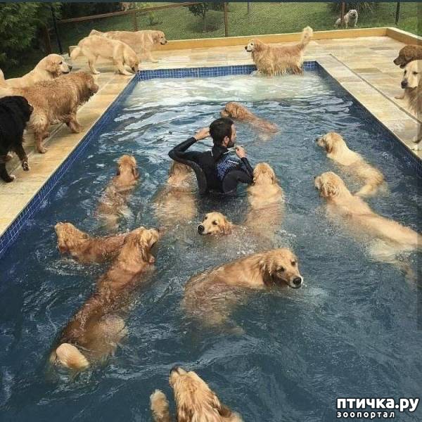 ���� 16: ������ � �� ����)))