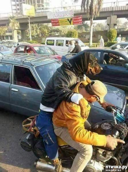 ���� 17: ������ � �� ����)))