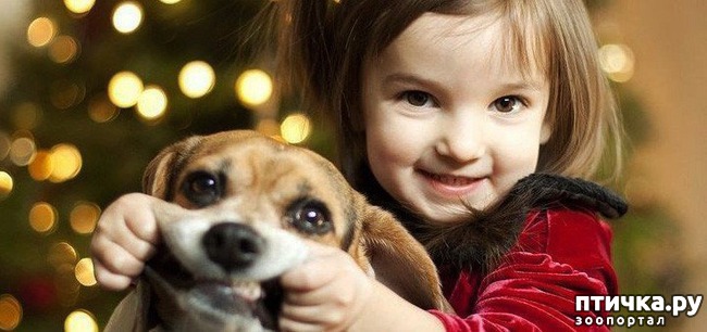 ���� 19: ������ � �� ����)))