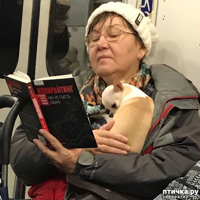 ���� 20: ������ � �� ����)))