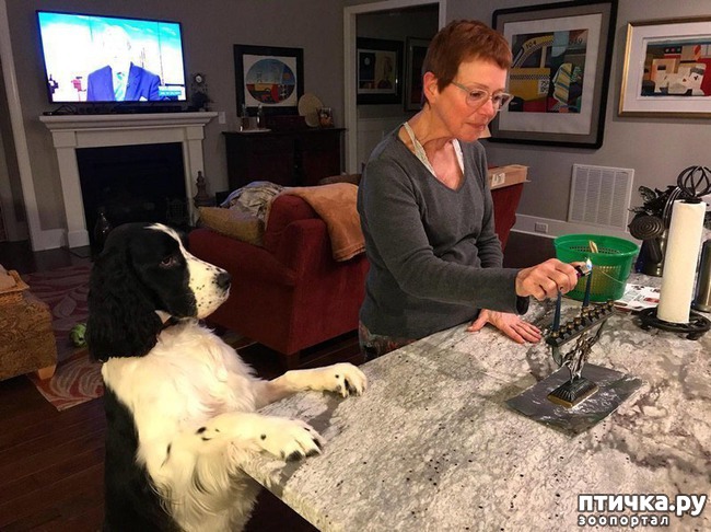 ���� 21: ������ � �� ����)))