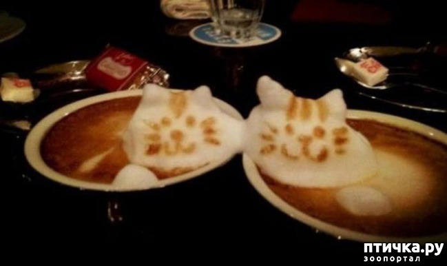 ���� 13: ������� ����� �� �������� ����� (���� �����-���)