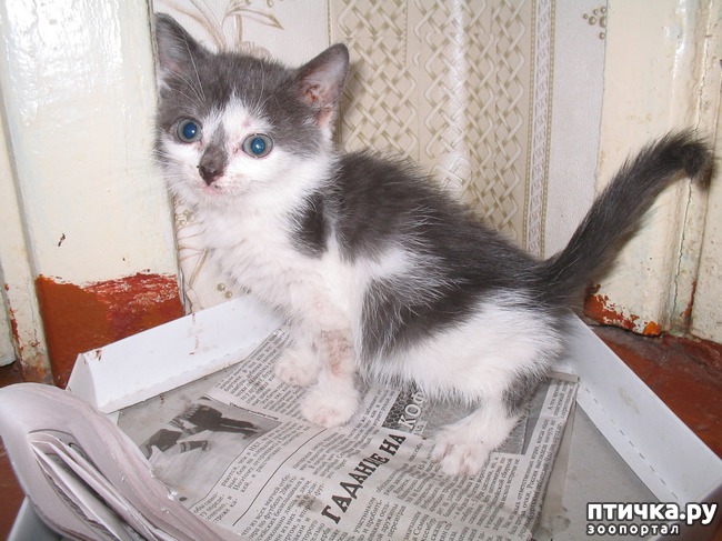 ���� 1: ���� ��������� ����, ��� ����� � ������