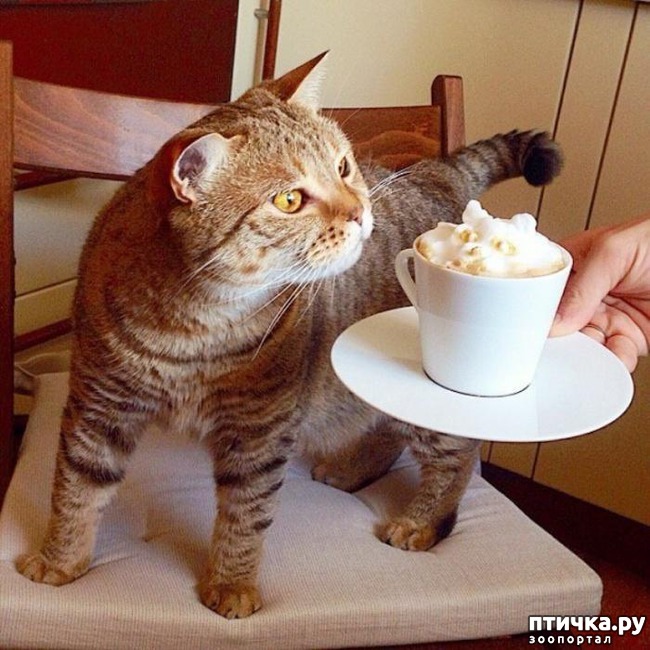 ���� 14: ������� ����� �� �������� ����� (���� �����-���)