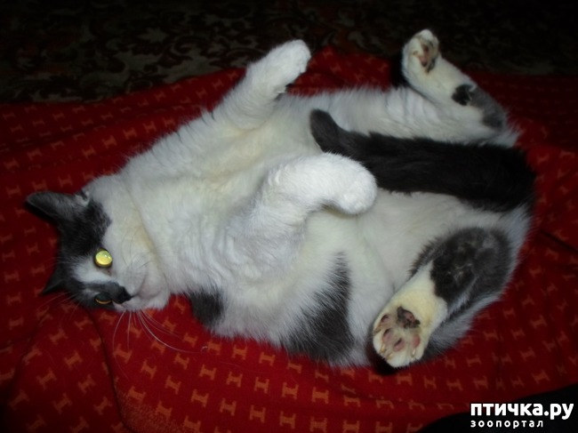 ���� 2: ���� ��������� ����, ��� ����� � ������