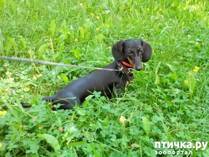 ����: ������