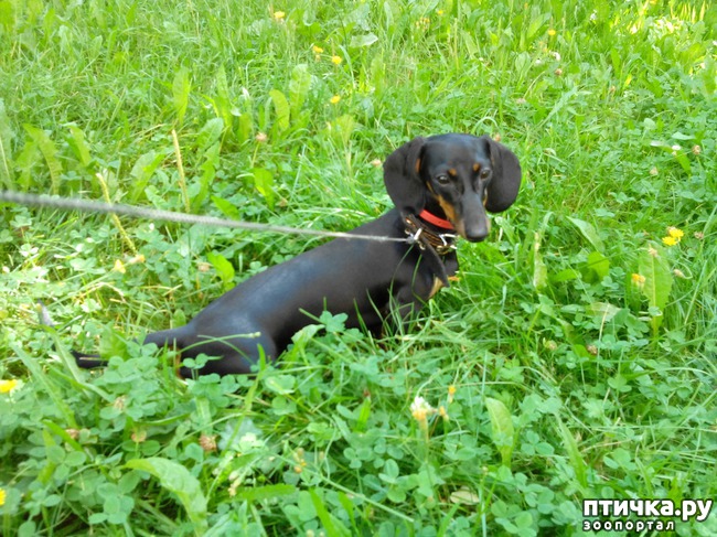 ���� 1: ������