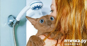 ����: "������ ����� ����!" � ������ ����� �������� ��� ���� ����!)))