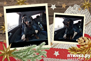 ����: ���� � ������� ����� 1