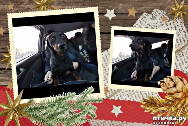 ���� 1: ���� � ������� ����� 1