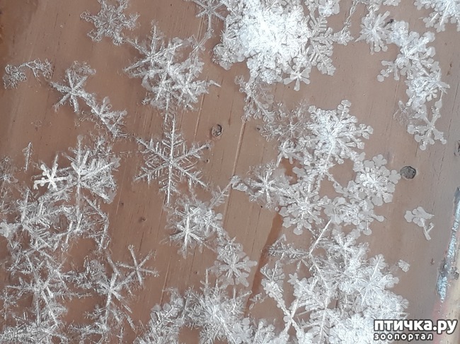 ���� 3: ������ �������.