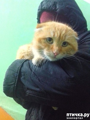 ����: ��� ���� � ���� ��� ��� ����!